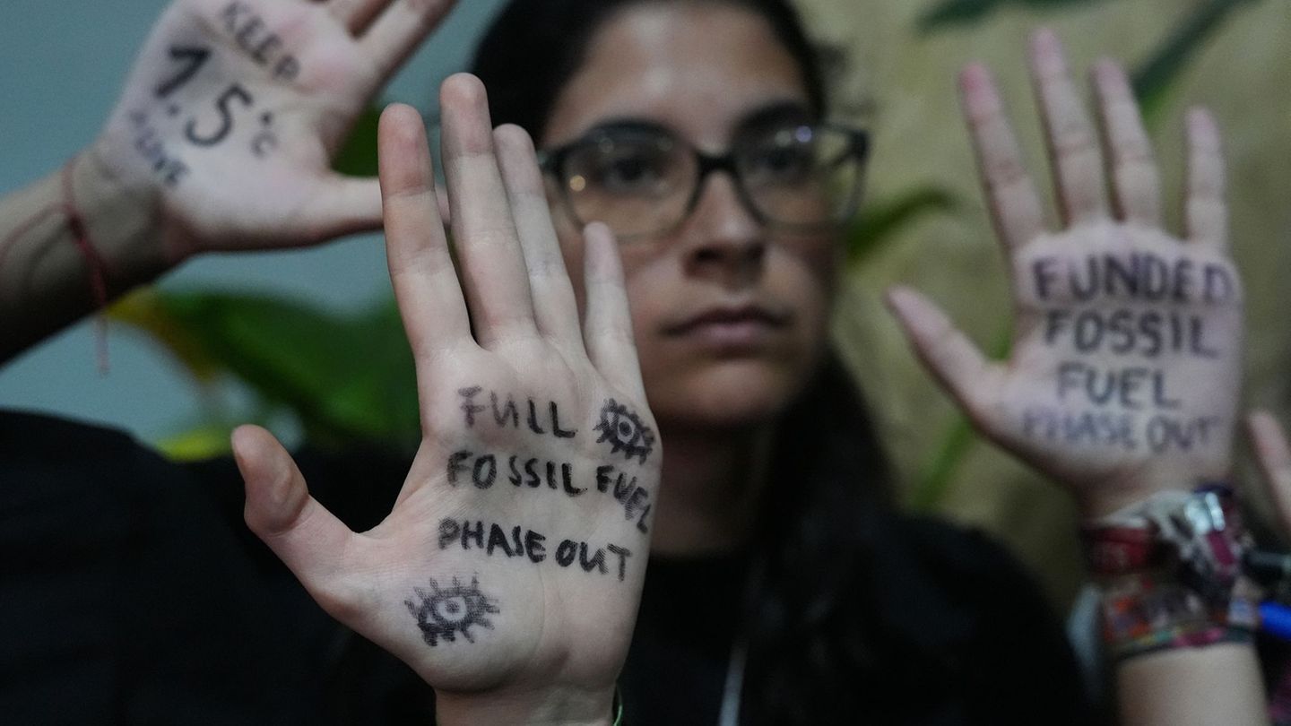 Auch Klimaaktivisten fordern ein Aus für fossile Energieträger. Foto: Joshua A. Bickel/AP/dpa