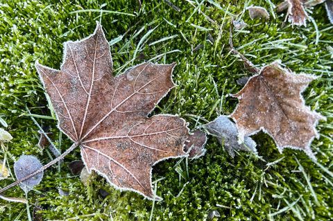 Nachts wird es am Wochenende richtig kalt. (Symbolbild) Foto: Britta Pedersen/dpa
