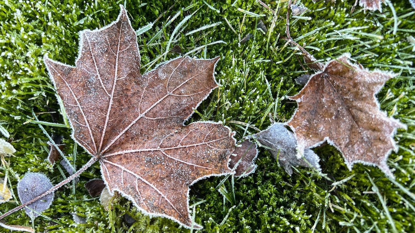 Nachts wird es am Wochenende richtig kalt. (Symbolbild) Foto: Britta Pedersen/dpa