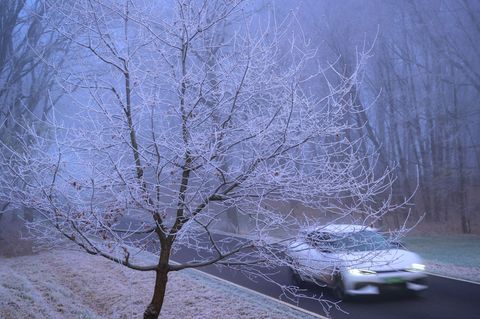 In kalten Nächten ist die Landschaft mit Raureif überzogen. Foto: Patrick Pleul/dpa