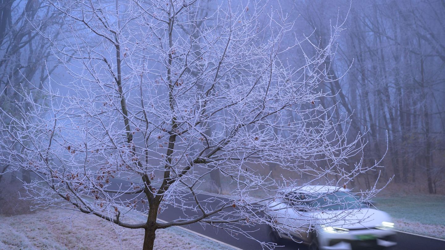 In kalten Nächten ist die Landschaft mit Raureif überzogen. Foto: Patrick Pleul/dpa