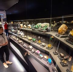 Die Mineraliensammlung in Freiberg soll modernisiert werden. (Archivfoto) Foto: Hendrik Schmidt/dpa-Zentralbild/ZB