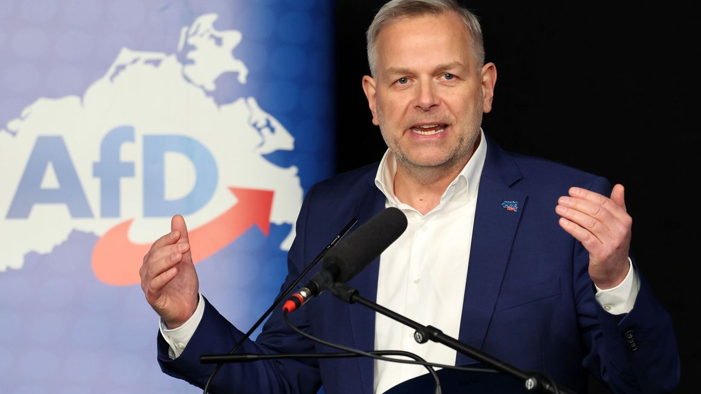 Im Falle seiner Wahl zum Ministerpräsidenten in Mecklenburg-Vorpommern will AfD-Mann Leif-Erik Holm bei der Landesverwaltung Gel