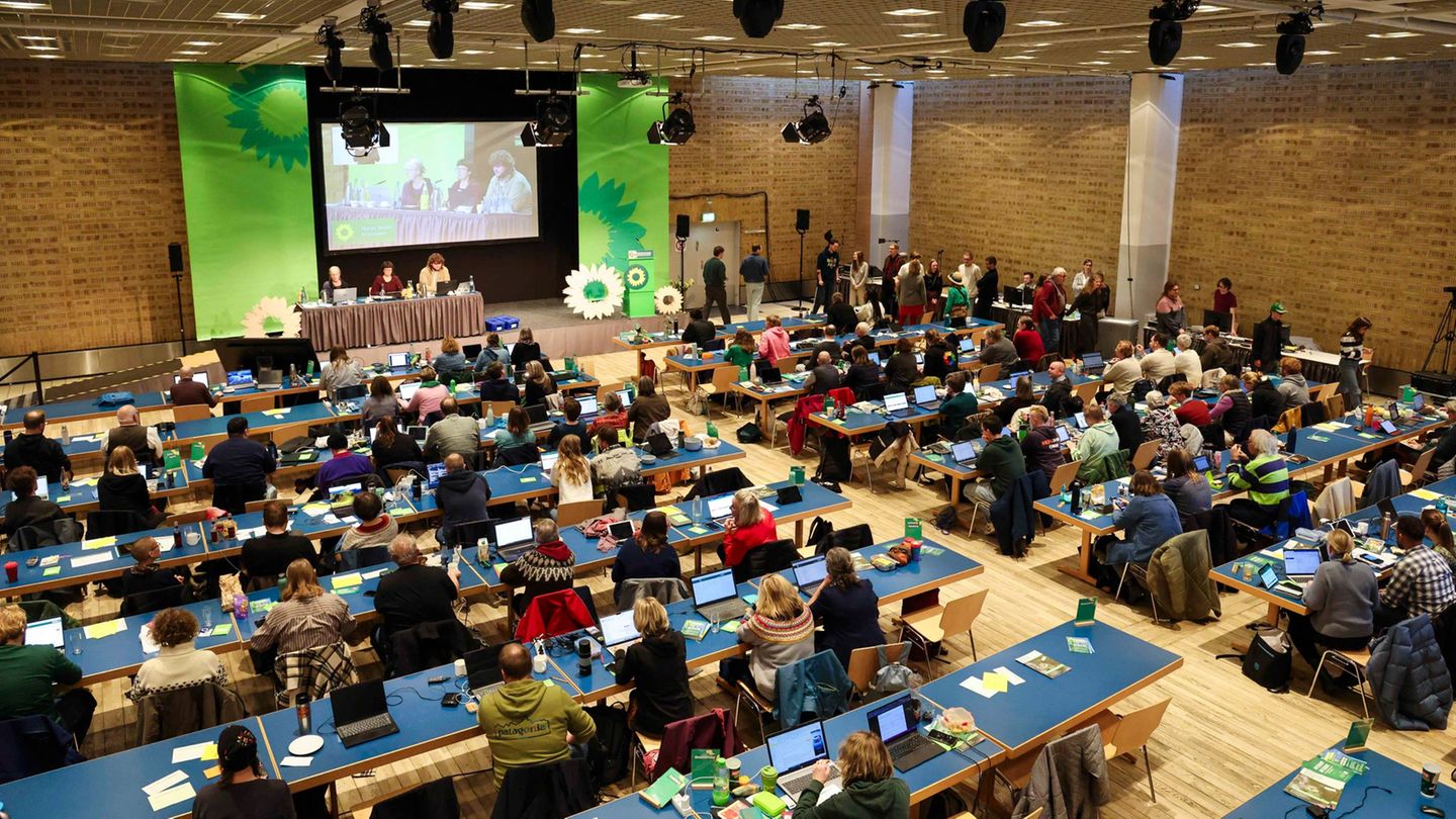 Die Grünen in Schleswig-Holstein haben sich zu ihrem Landesparteitag getroffen. Foto: Frank Molter/dpa