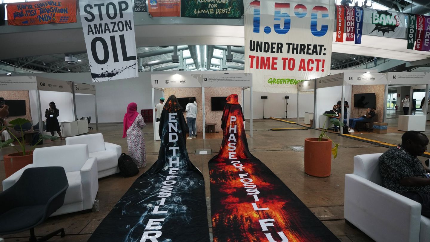 Auch auf dem Konferenzgelände wurde für mehr Klimaschutz demonstriert. Foto: Andre Penner/AP/dpa