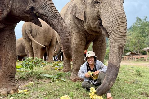 Saengduean "Lek" Chailert verbringt täglich viel Zeit mit ihren Elefanten. Foto: Carola Frentzen/dpa