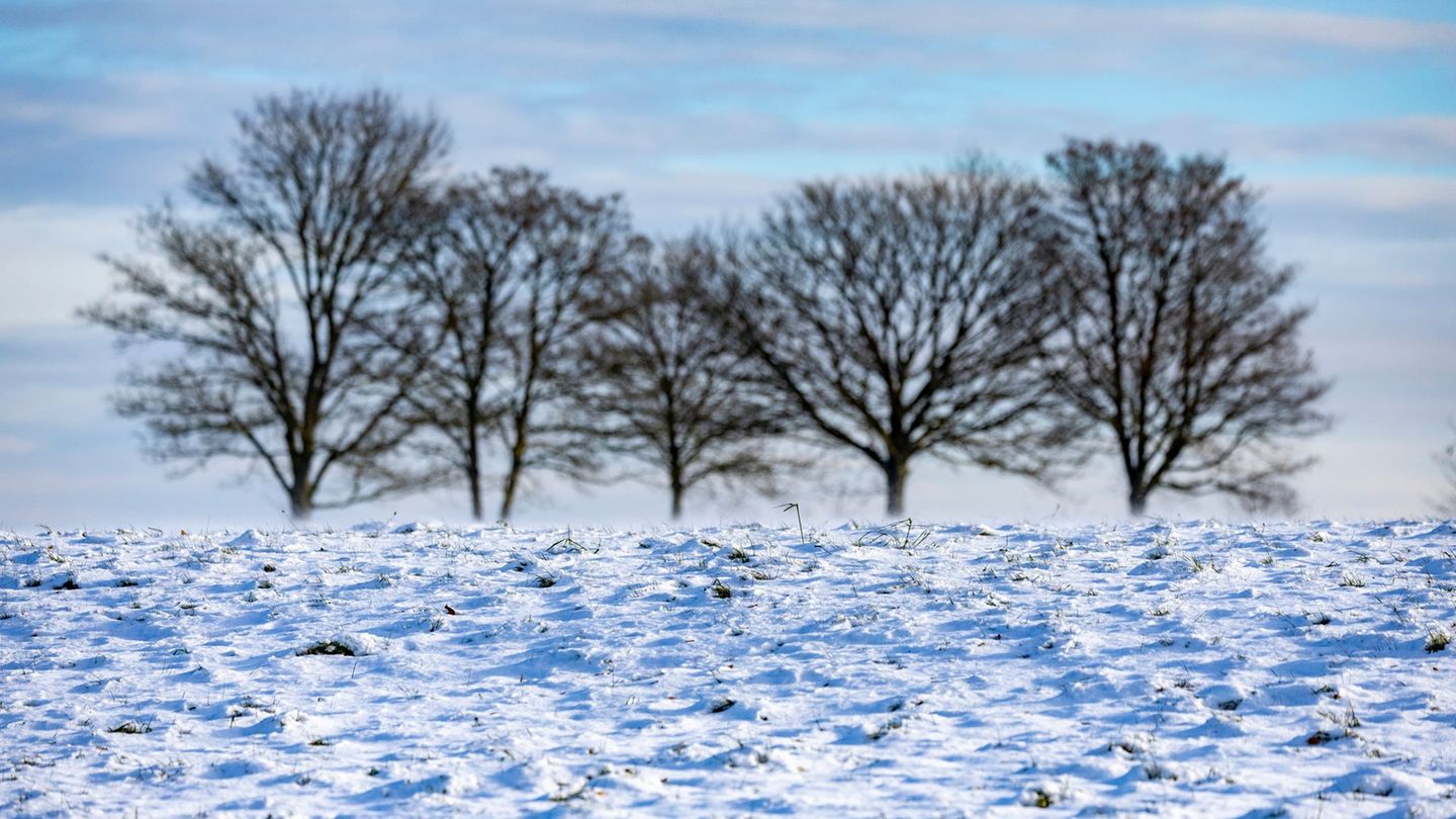Das frostige, aber sonnige Wetter lockte viele Menschen nach draußen. Foto: Thomas Banneyer/dpa