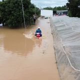 Khanh Hoa, Vietnam. Nein, das ist kein Jetski. Ein Mann fährt mit seinem Roller durch die Straßen voller Wasser. Die schweren Überschwemmungen in Zentralvietnam haben Dutzende Todesopfer gefodert