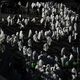 Vatikanstadt, Vatikan. Komplett in Weiß gekleidet verlassen Priester den Petersplatz. Papst Leo XIV. leitete an diesem Sonntag eine Messe anlässlich des Jubiläums der Chöre