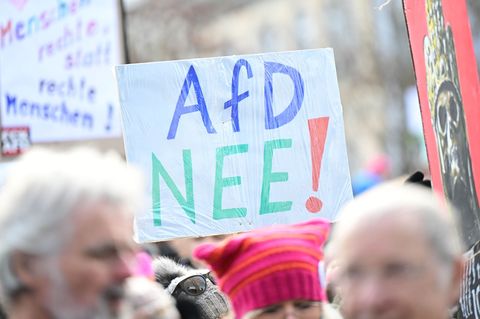 Hunderte Menschen haben gegen den AfD-Parteitag in Hechingen protestiert. Foto: Bernd Weißbrod/dpa