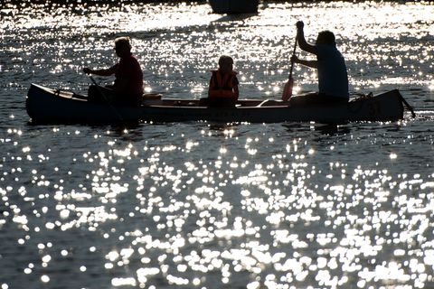 Kanufahrer haben in der Alster einen Leichnam entdeckt. (Symbolbild) Foto: picture alliance / Daniel Bockwoldt/dpa