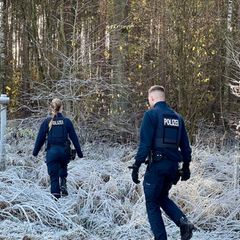 Polizisten suchen bei einem Einsatz in einem Wald nach einem vermeintlichen Känguru. Foto: Julian Stähle/dpa