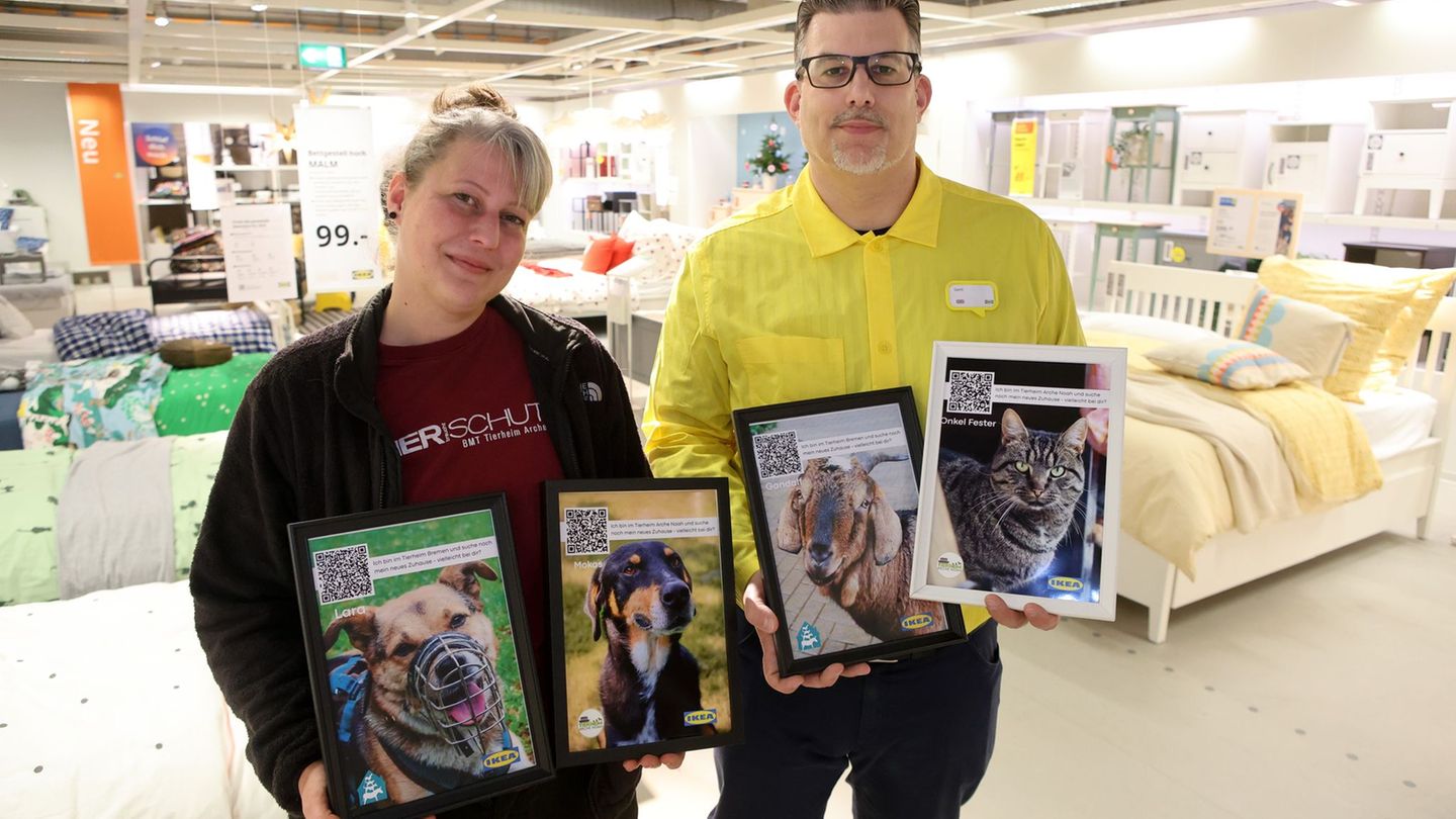 Mit Fotos werben Tierheimleiterin Sarah Ross und Ikea-Abteilingsleiter Gerrit Kaminski mitten in der Möbelausstellung für schwer