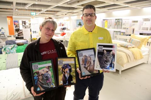 Mit Fotos werben Tierheimleiterin Sarah Ross und Ikea-Abteilingsleiter Gerrit Kaminski mitten in der Möbelausstellung für schwer