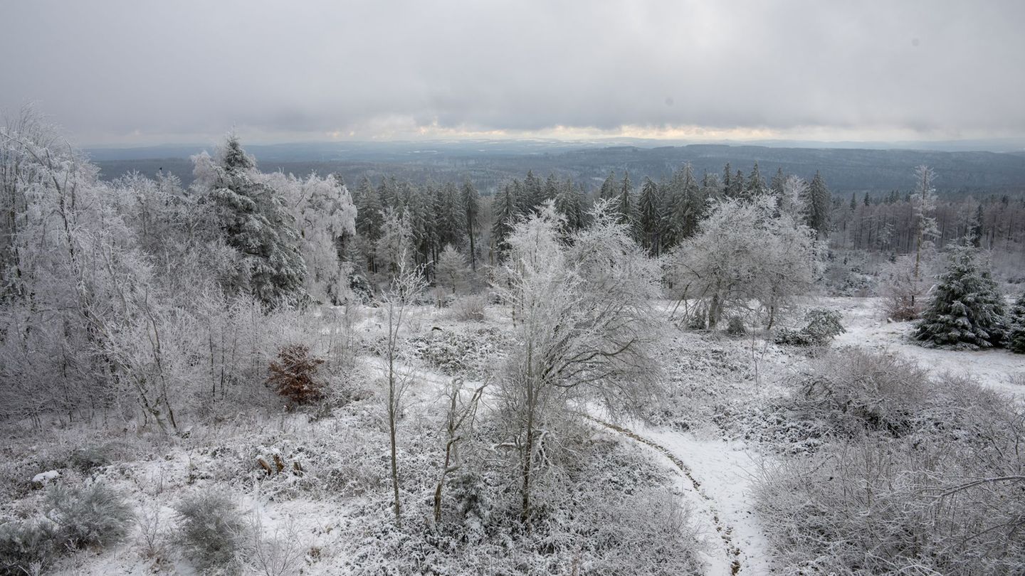 Wettervorhersage-Schnee-zum-Wochenstart-in-Rheinland-Pfalz-und-Saarland