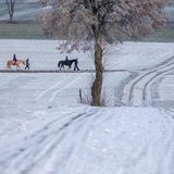Schnee und Sonne in der Schwäbischen Alb