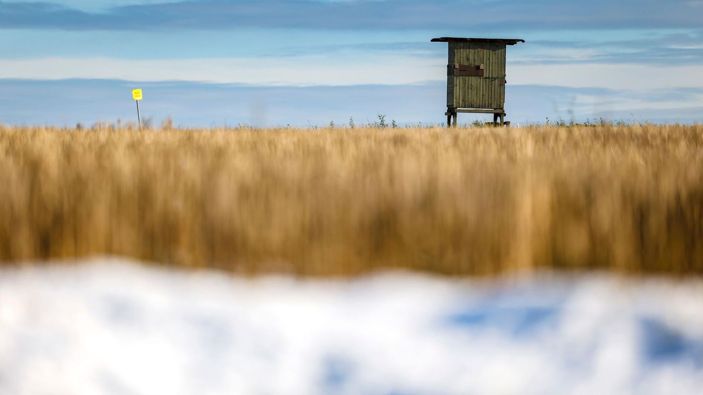Auf diesem Holzunterstand haben die Jäger bestimmt nicht nur einen guten, sondern auch einen malerisch winterlichen Blick