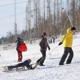 Am Wurmberg fiel am Wochenende der Startschuss für das Rodelvergnügen