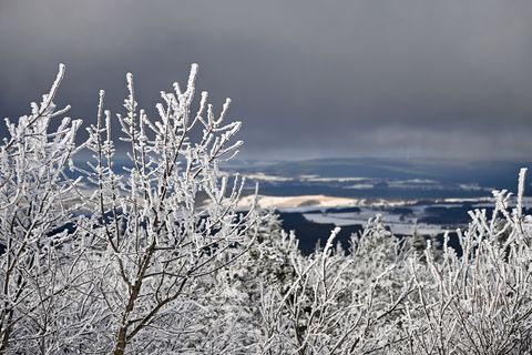 In Sachsen wird es zum Wochenstart winterlich. Foto: Jennifer Brückner/dpa