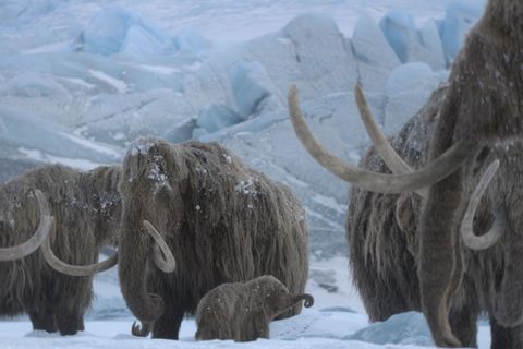 Mit "Ein Planet vor unserer Zeit: Eiszeit" wagt sich die Reihe in neue Gefilde vor. Statt Dinosauriern spielt nun die Riesenfauna der Eiszeit die Hauptrolle. Zu sehen gibt es die Natur-Dokuserie ab 26. November bei Apple TV.