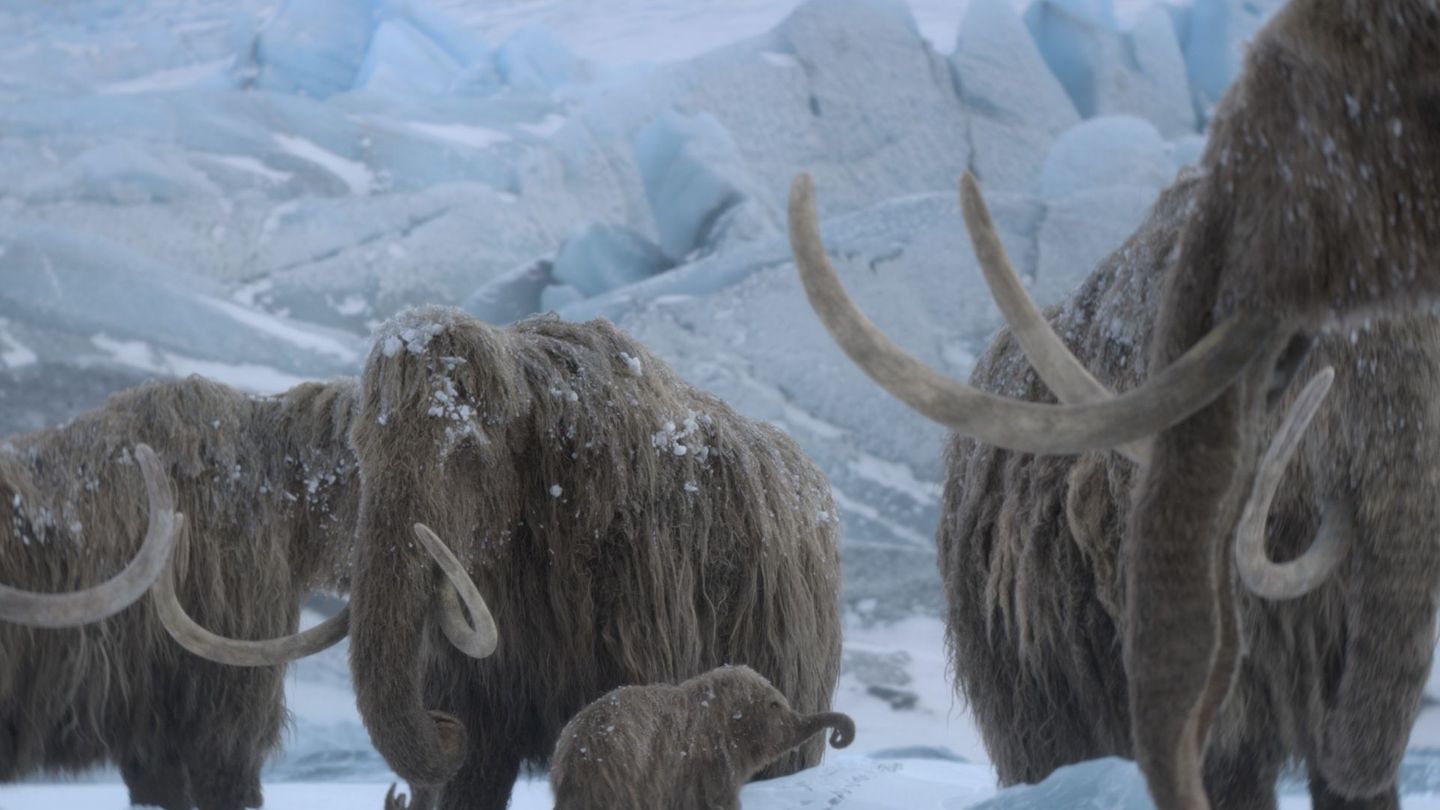 Mit "Ein Planet vor unserer Zeit: Eiszeit" wagt sich die Reihe in neue Gefilde vor. Statt Dinosauriern spielt nun die Riesenfauna der Eiszeit die Hauptrolle. Zu sehen gibt es die Natur-Dokuserie ab 26. November bei Apple TV.