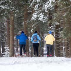 Knapp 50 Kilometer Langlaufstrecken sind im Thüringer Wald präpariert. (Archivbild) Foto: Michael Reichel/dpa