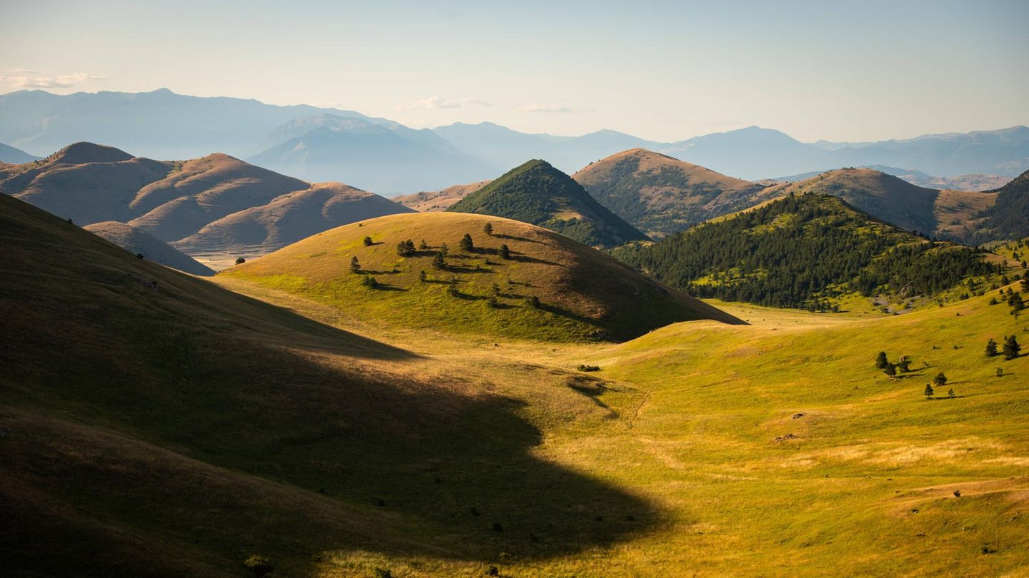 Ohne Strom und fließend Wasser: Eltern ziehen Kinder im Wald groß. Ein Gericht erklärt das für unzumutbar