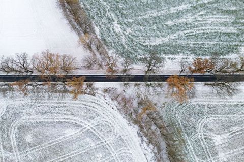 In Brandenburg hat es am Montag geschneit. Foto: Patrick Pleul/dpa