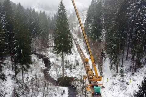 Mit einem Autokran wurde der Baum auf einen Tieflader gehoben. Foto: -/dpa