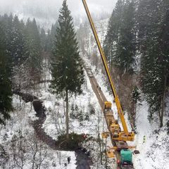 Mit einem Autokran wurde der Baum auf einen Tieflader gehoben. Foto: -/dpa