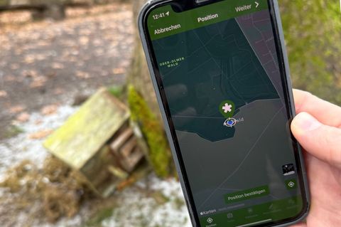 Die App soll schnelle Meldungen vor Ort ermöglichen, wie im Fall eines herabgestürzten Nistkastens für Vögel. Foto: Christian Sc