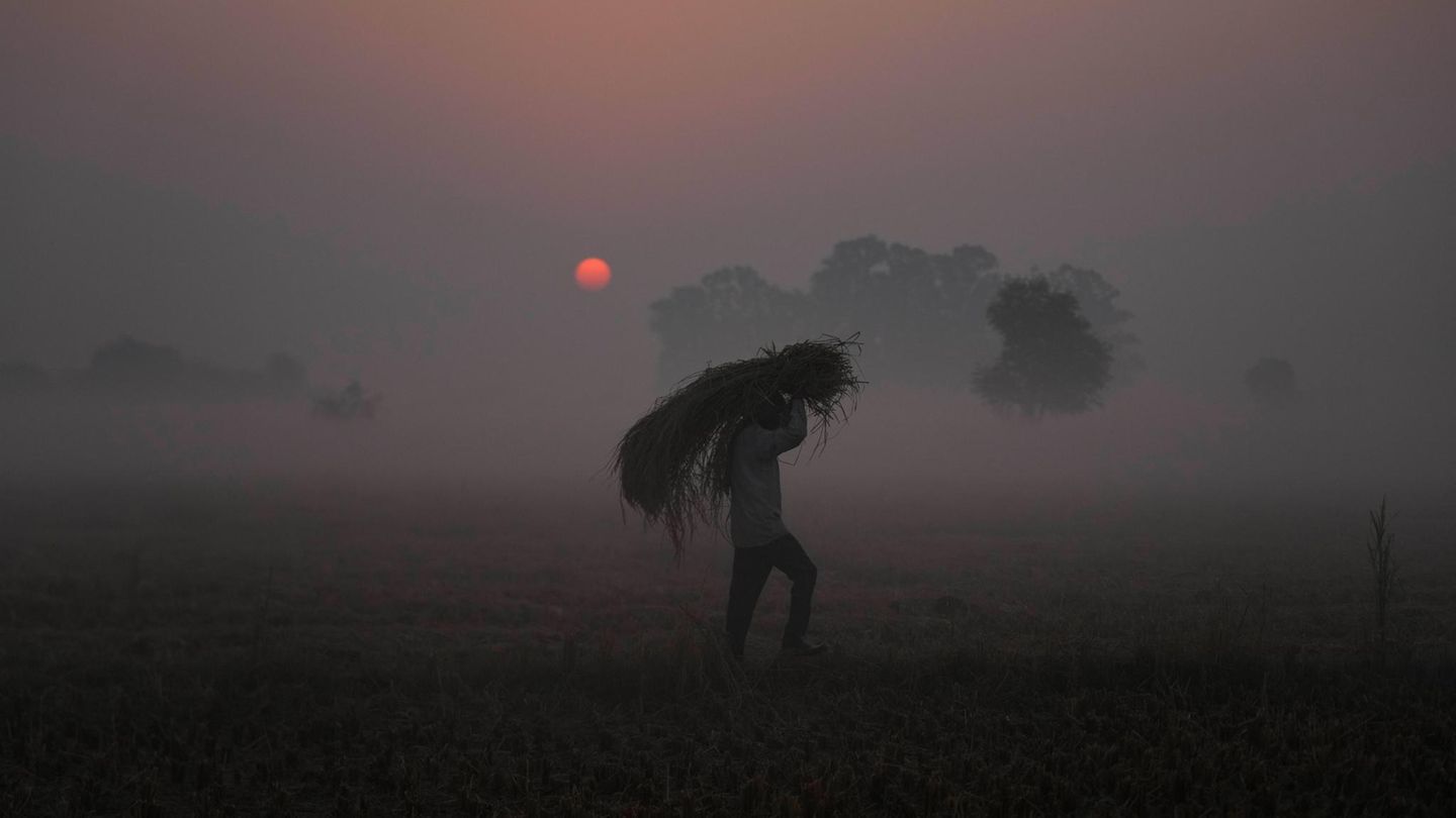 Ranbir Singh Pura, Grenze zwischen Indien und Pakistan. ... Stroh auf der Schulter?! Ein Bauer an der indisch-pakistanischen Grenze hat sich offenbar einen sehr frühen Wecker gestellt. Er arbeitet schon, als noch der morgendliche Nebel über den Feldern der Region liegt
