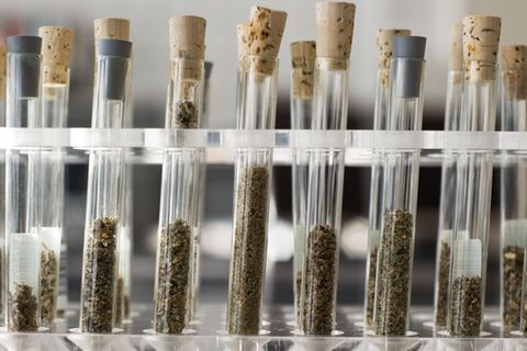 950 verschiedene Designerdrogen hat die Europäische Drogenagentur registriert. (Archivbild) Foto: Christoph Schmidt/dpa