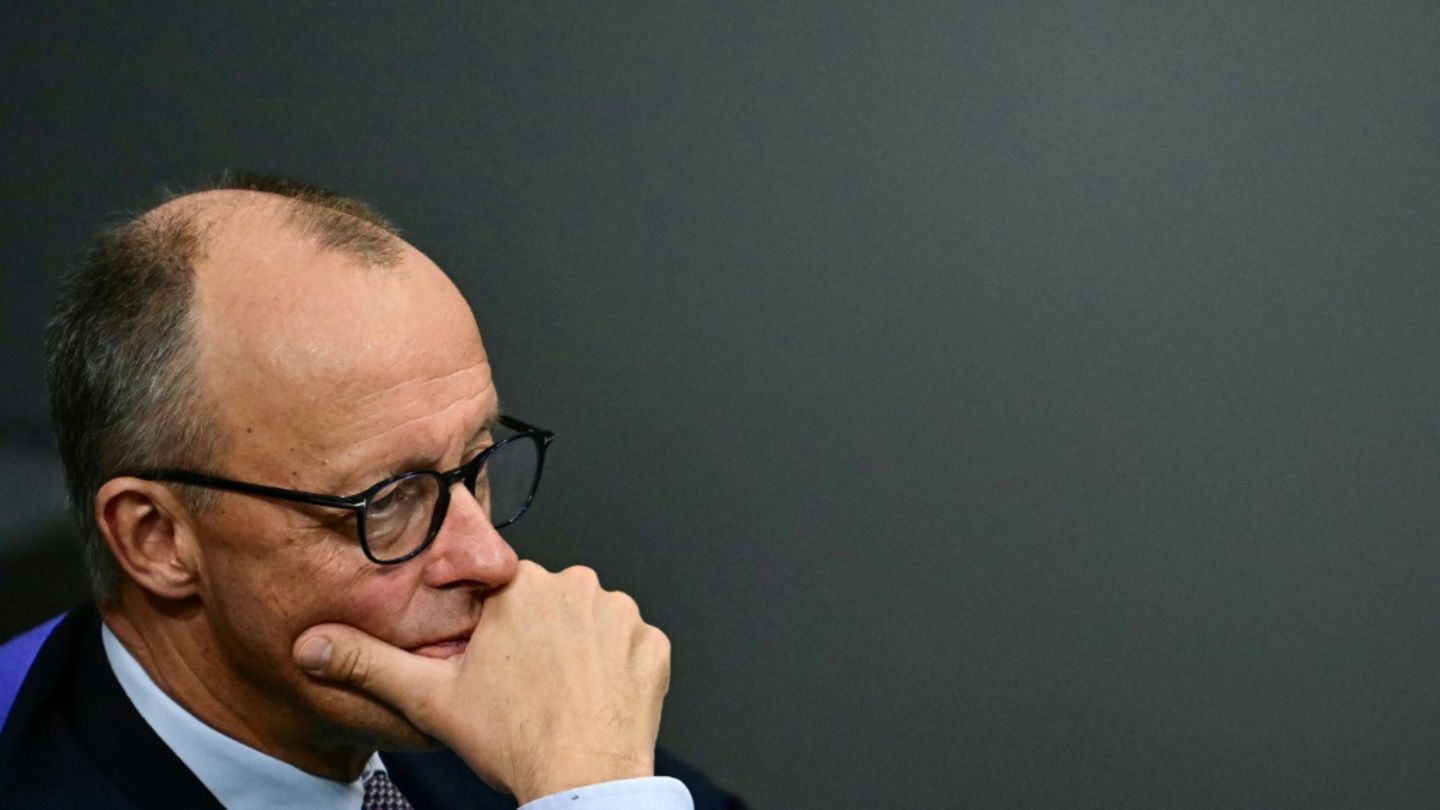 Friedrich Merz im Bundestag