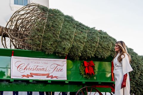 Melanie Trump nimmt den Weihnachtsbaum in Empfang. Foto: Julia Demaree Nikhinson/AP/dpa