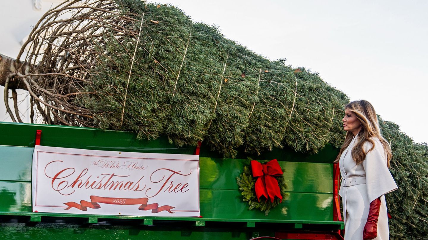 Melanie Trump nimmt den Weihnachtsbaum in Empfang. Foto: Julia Demaree Nikhinson/AP/dpa
