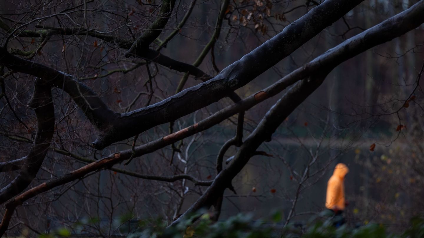 Nach eisigen Tagen könnte es in dieser Woche etwas wärmer werden. (Symbolbild) Foto: Rolf Vennenbernd/dpa