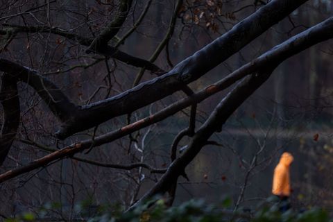 Nach eisigen Tagen könnte es in dieser Woche etwas wärmer werden. (Symbolbild) Foto: Rolf Vennenbernd/dpa