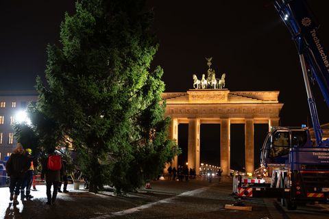 "Dieses Mal ist es ein sehr voller Baum. Wir hatten schon welche, die waren deutlicher kahler", ist sich THW-Einsatzleiter Juliu