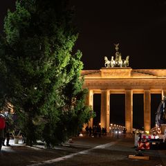 "Dieses Mal ist es ein sehr voller Baum. Wir hatten schon welche, die waren deutlicher kahler", ist sich THW-Einsatzleiter Juliu