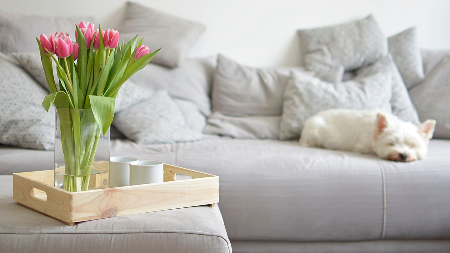 Frühling in den eigenen vier Wänden