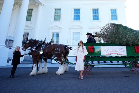 Melania Trump vor einer Pferdekutsche mit dem offiziellen Weihnachtsbaum.