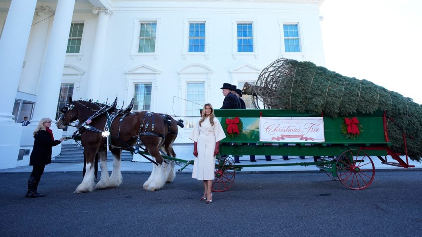 Melania Trump vor einer Pferdekutsche mit dem offiziellen Weihnachtsbaum.