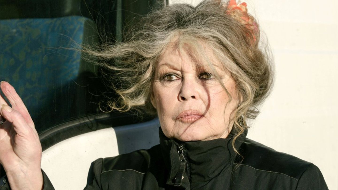 Brigitte-Bardot-Sie-liegt-wieder-in-der-Klinik