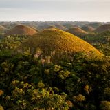 Riesige Erhebungen auf der philipinischen Insel Bohol, welche wegen ihrer Trockenheit braun werden, mitten im Wald