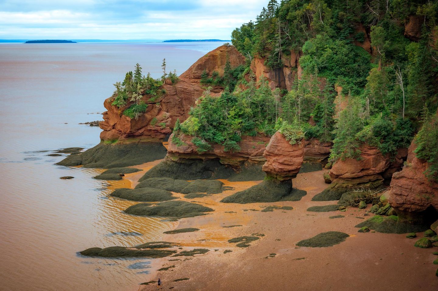 Die Küstenlandschaft Hopewell Rocks in Kanada bei Ebbe, bei der die Auswirkugen der starken Tide sichtbar werden
