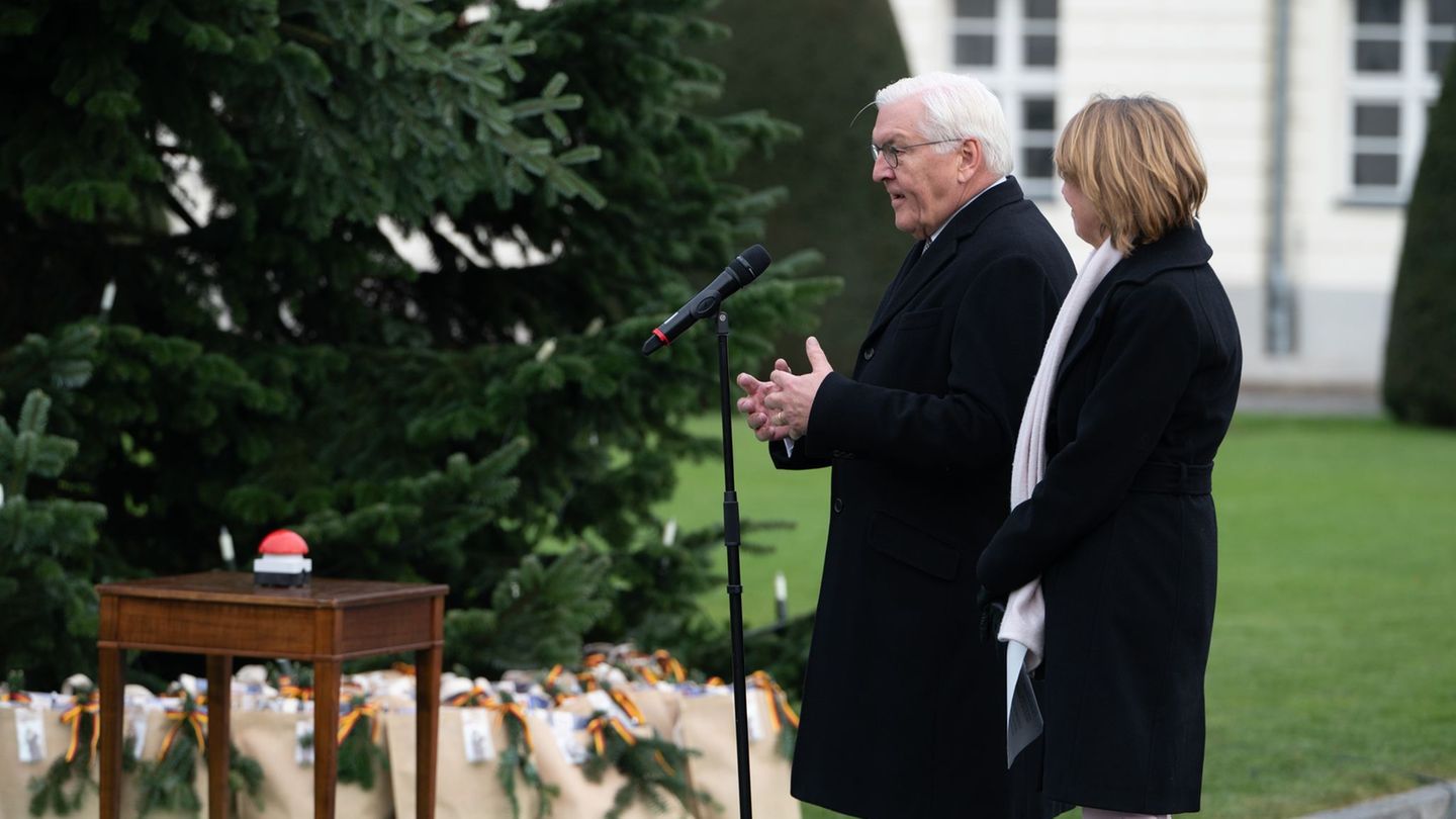 Bundespräsident Frank-Walter Steinmeier (l) und seine Frau Elke Büdenbender schalten die Beleuchtung des Weihnachtsbaums vor dem