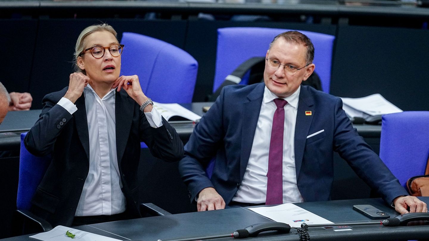 Die Gespräche von Alice Weidel, Co-Fraktionsvorsitzende und Co-Parteichefin der AfD, mit Unternehmern finden nach Angaben ihres