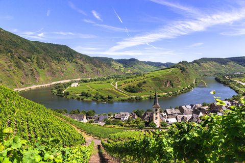 Mosel