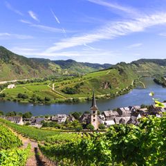 Mosel